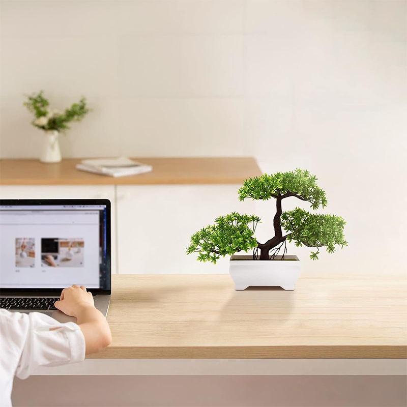 Sztuczne Bonsai Plastikowe Bio – Desk Setup Green recenzja i cena